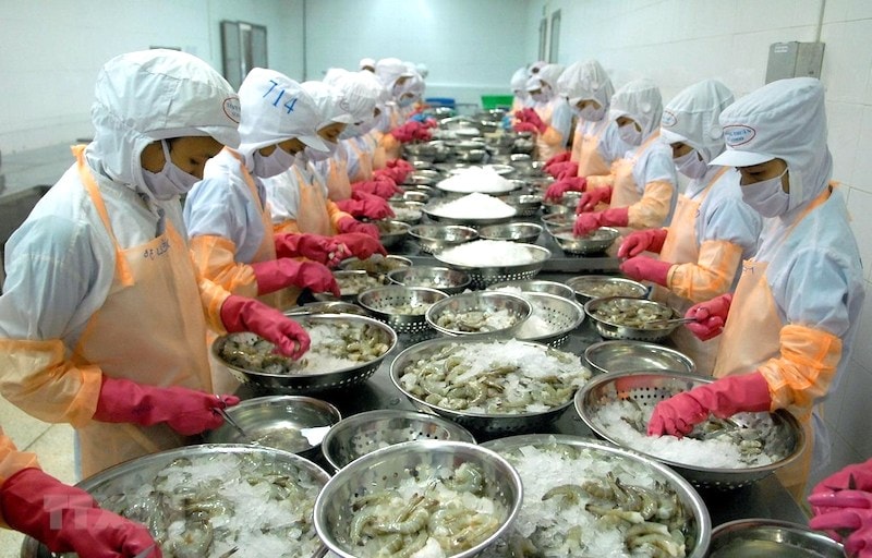 Tôm "dẫn dắt" đưa xuất khẩu thuỷ sản dự kiến đạt mốc 11 tỷ USD