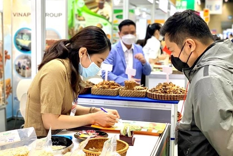 Xúc tiến thương mại chuyển động toàn diện, tạo lực đẩy tăng trưởng