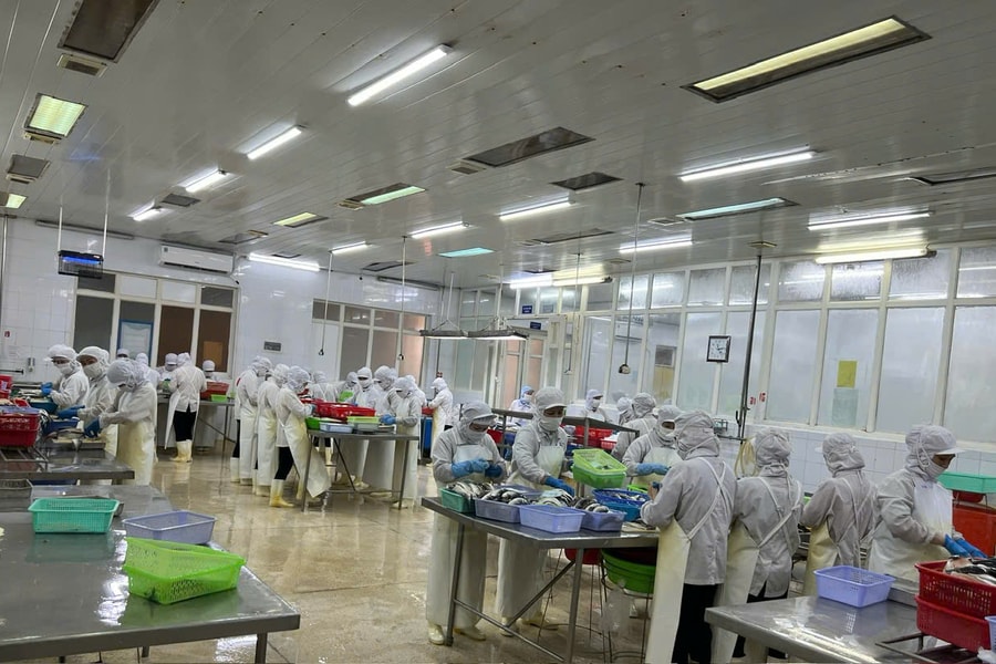 Quảng Ninh: Tạo môi trường thuận lợi để doanh nghiệp tư nhân mở rộng đầu tư