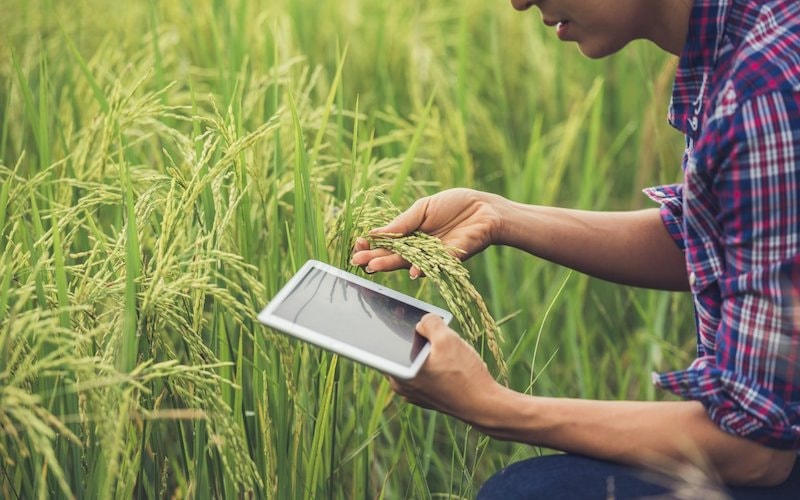 Dữ liệu số - nền tảng để nông nghiệp Việt Nam làm chủ "cuộc chơi"