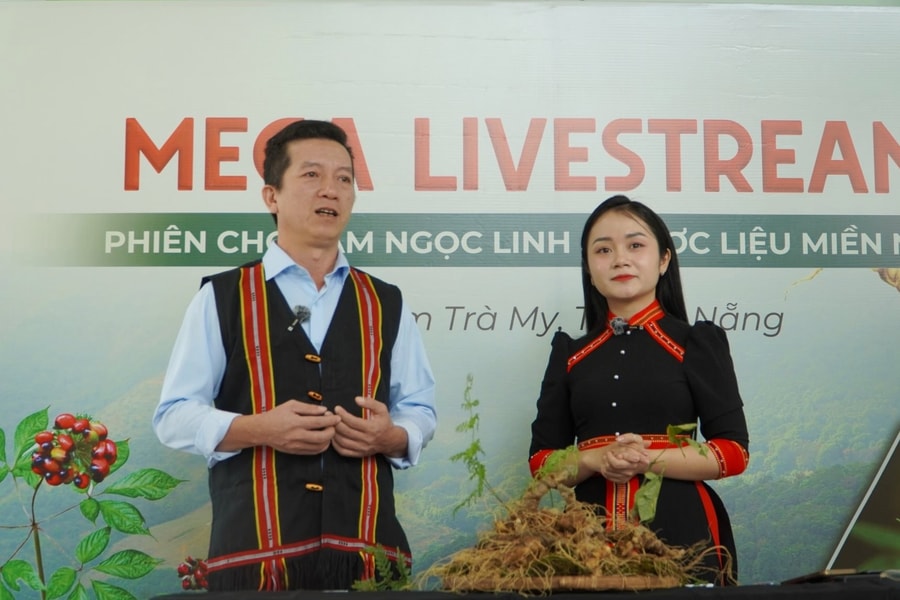 Livestream bán sâm Ngọc Linh và vai trò đồng hành của chính quyền