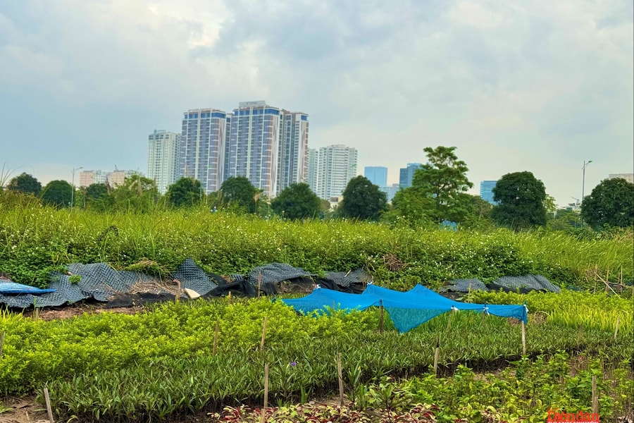 Bất động sản 2026: Loạt chính sách mới định hình chu kỳ phát triển mới