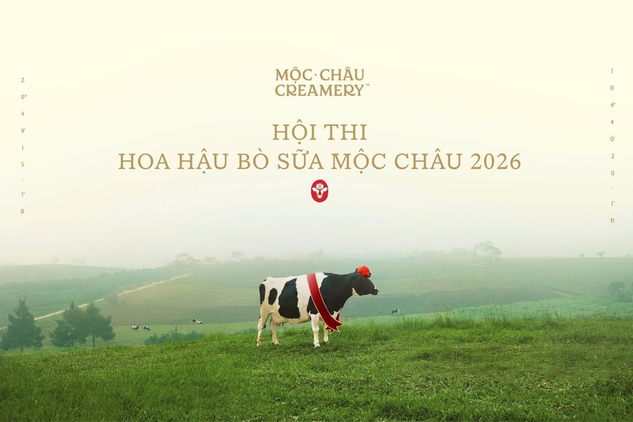 Chiến lược đằng sau “cô hoa hậu bò sữa”