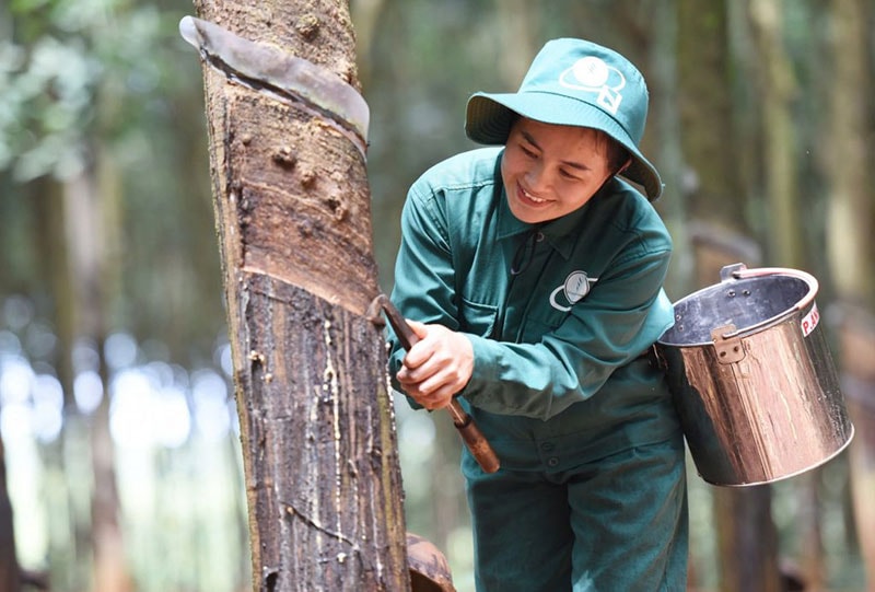 Dòng tiền đổ vào cổ phiếu Nhà nước dự kiến thoái vốn