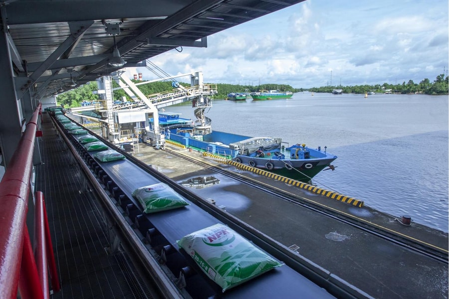 Phân bón Cà Mau 2025: Vượt “Gió ngược” nhờ năng lực nội sinh