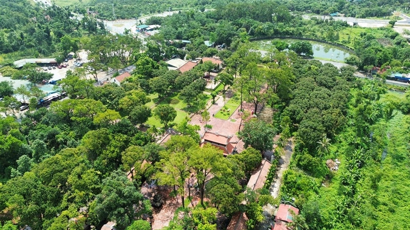 Hải Phòng: Phát triển du lịch xanh vì mục tiêu bền vững