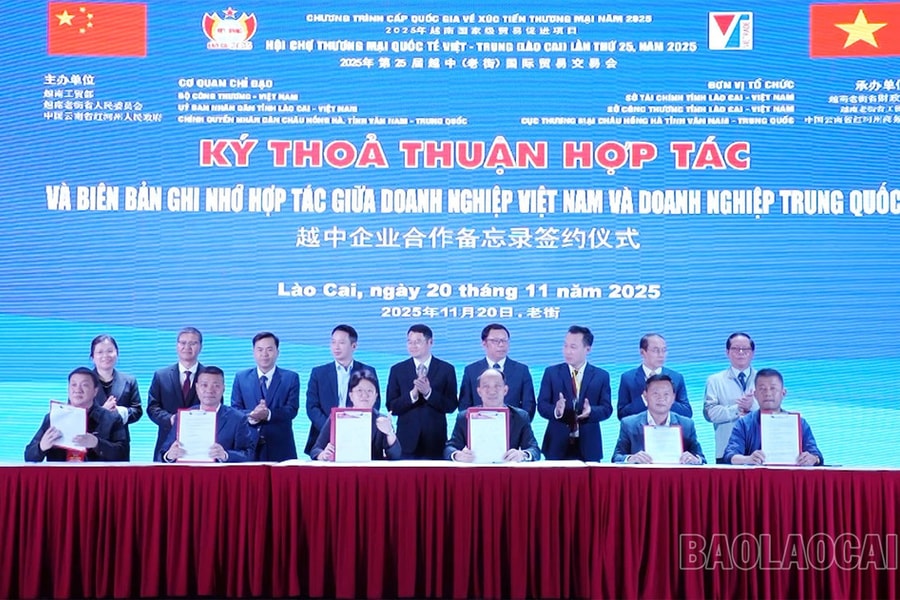 Lào Cai: Thu hút doanh nhân trẻ, startup tạo sức mạnh tổng hợp