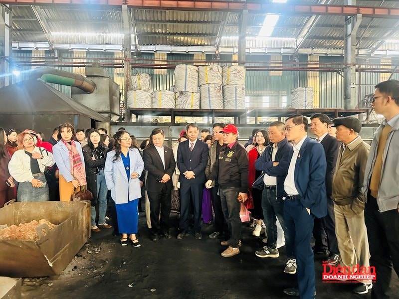 Hải Phòng gần 500 doanh nghiệp kết nối phát triển sau hợp nhất