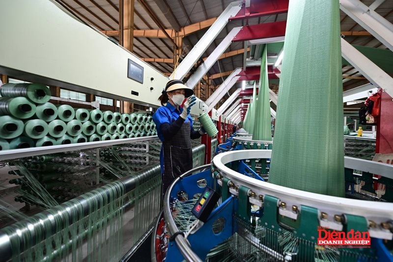 Nghị quyết 79-NQ/TW: Tái định vị vai trò kinh tế nhà nước