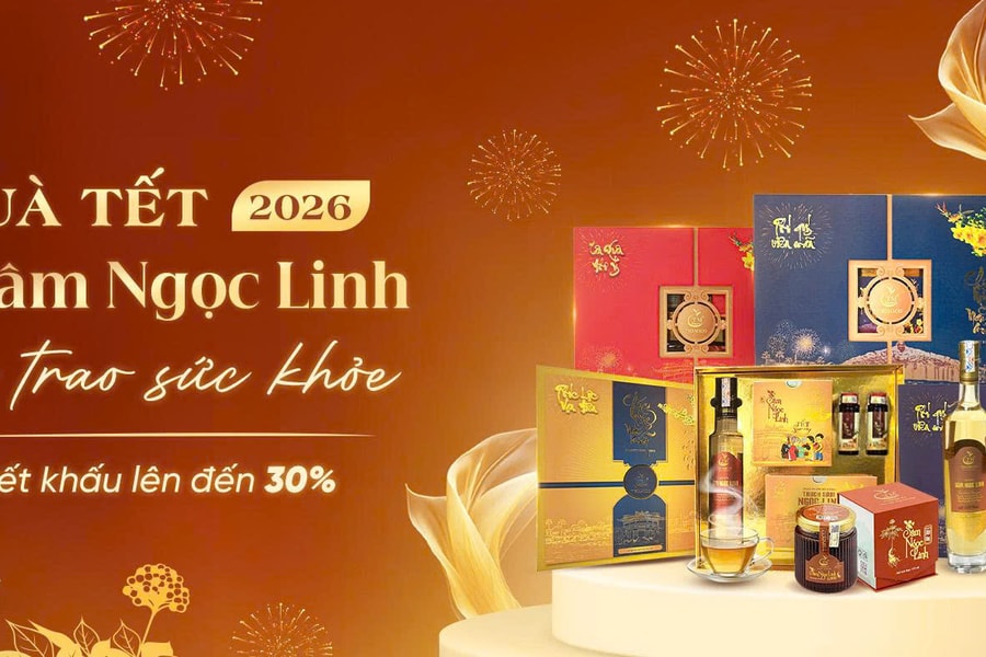 Quà sức khỏe từ Sâm Ngọc Linh: Lựa chọn của nhiều doanh nghiệp trong mùa Tết