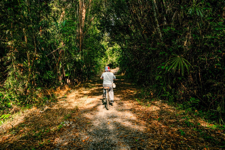 Chiến lược truyền thông quốc gia quảng bá “Việt Nam: Vùng đất chữa lành”