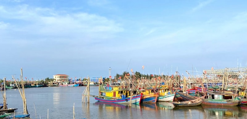 Ninh Bình “dành trọn” nguồn lực chống khai thác IUU