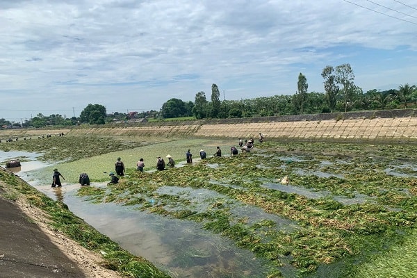 Công ty Sông Chu Thanh Hóa: Thi đua gắn quản lý, vận hành hiệu quả hệ thống thủy lợi