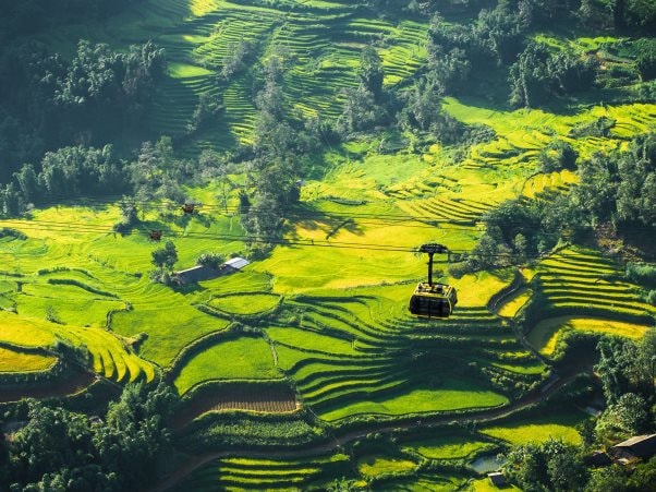 Không phải danh lam thắng cảnh, công viên chủ đề mới là xu hướng được du khách tìm kiếm nhiều nhất cho năm 2026