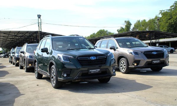 Subaru Forester thế hệ cũ, tồn kho từ 2024, giá "cao ngất", ai dám mua?