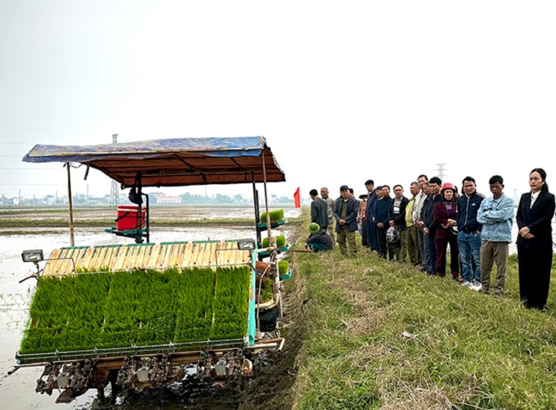 Ninh Bình: "Trải thảm đỏ" thu hút doanh nghiệp, kiến tạo nền nông nghiệp xanh bền vững