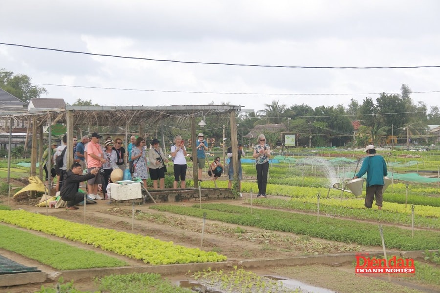 Kim chỉ nam phát triển du lịch nông thôn Đà Nẵng