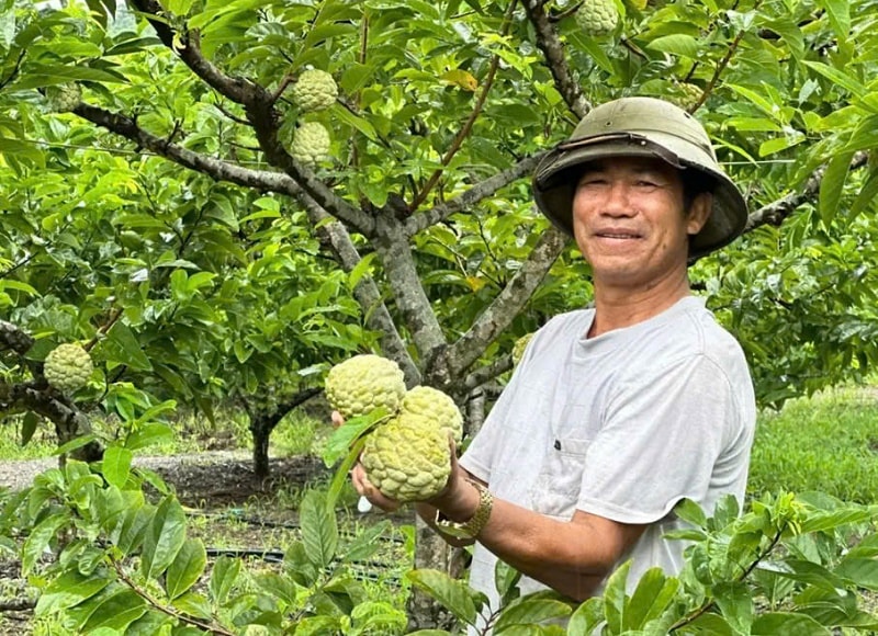 Nông nghiệp Ninh Bình: Khi công nghệ dẫn đường cho những "mùa vàng" bền vững