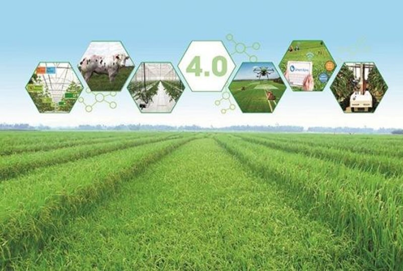 Khởi nghiệp nông nghiệp xanh mở lối phát triển bền vững cho kinh tế nông thôn Việt Nam