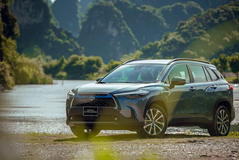 Hybrid vào nhịp cạnh tranh mới trên thị trường Việt