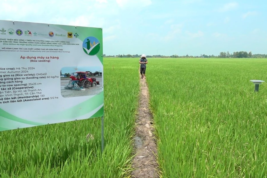 Tài sản vô hình nâng cao giá trị xuất khẩu nông sản