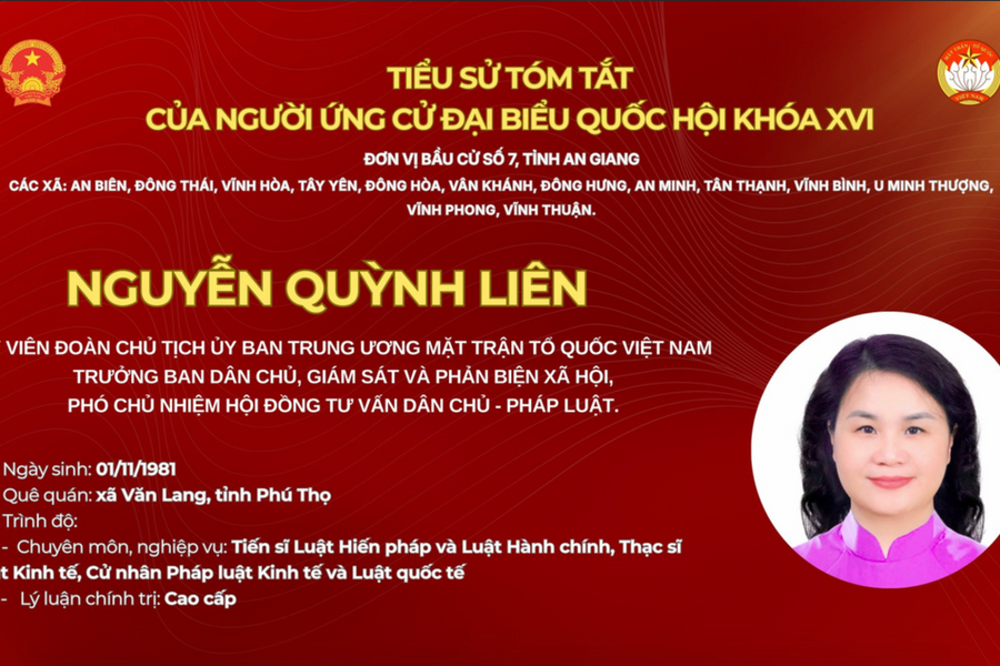 Tiểu sử bà Nguyễn Quỳnh Liên ứng cử ĐBQH khóa XVI