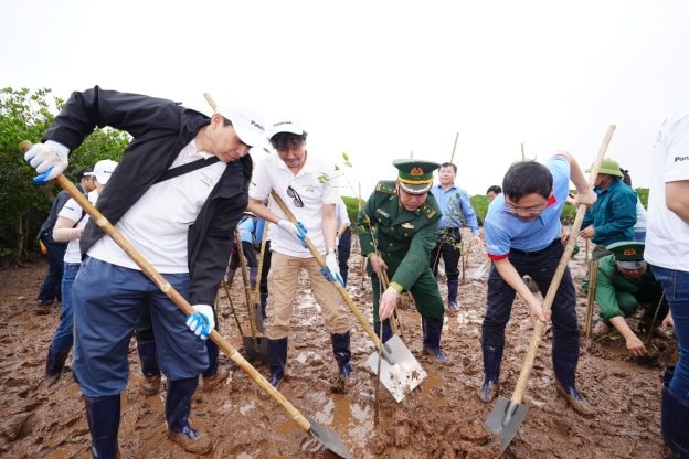 Panasonic tăng cường trồng rừng ngập mặn, tiếp nối hành trình triệu cây