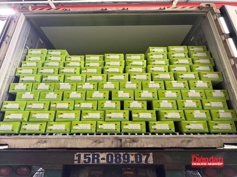 Bộ Công Thương đồng hành cùng doanh nghiệp Hải Phòng phát triển