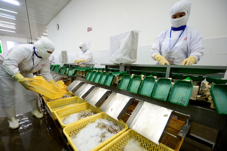 Giải pháp duy trì tăng trưởng xuất khẩu: Chuyển hướng xuất khẩu, phân tán rủi ro