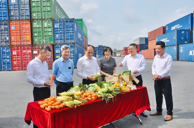 Doanh nghiệp chung tay kết nối tiêu thụ nông sản