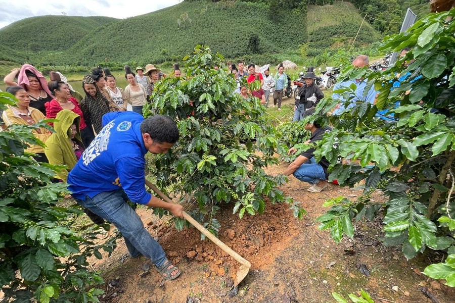 Công nghệ số vào truy xuất nông sản, hỗ trợ mục tiêu kim ngạch 100 tỷ USD
