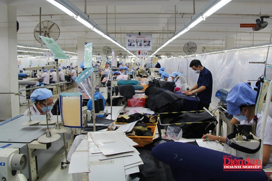 Chuyển đổi xanh gia tăng lợi thế cạnh tranh cho doanh nghiệp