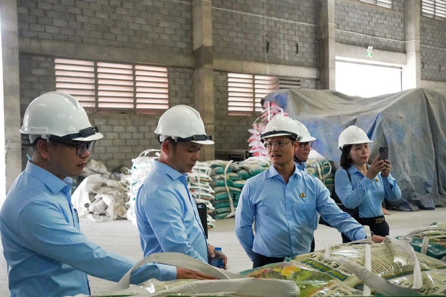 Phân bón Miền Nam dự kiến chia cổ tức tiền mặt 5%