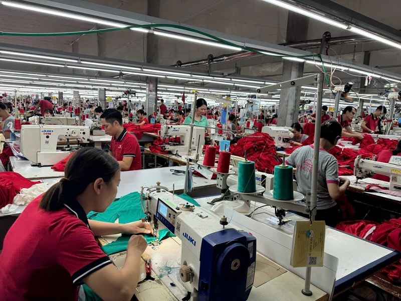 Kinh tế tư nhân Ninh Bình: Từ "vệ tinh" đến vị thế "xương sống" nền kinh tế