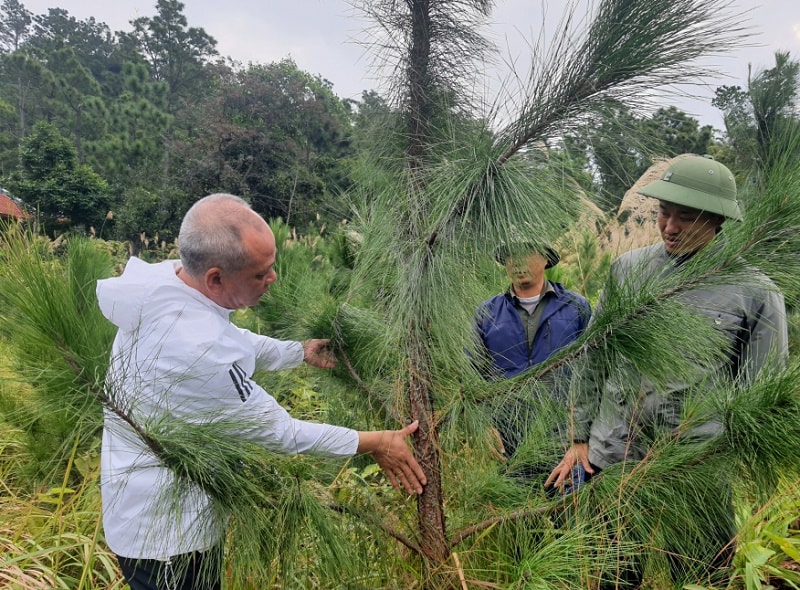 Quảng Ninh: Từ "Lão nông tri điền" đến những "Chuyên gia công nghệ" số