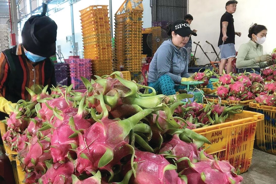 Nông sản Việt trước sức ép mới từ EU