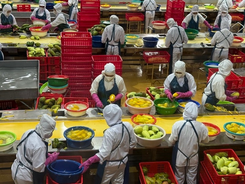 Nghịch lý xuất khẩu nông sản quý I