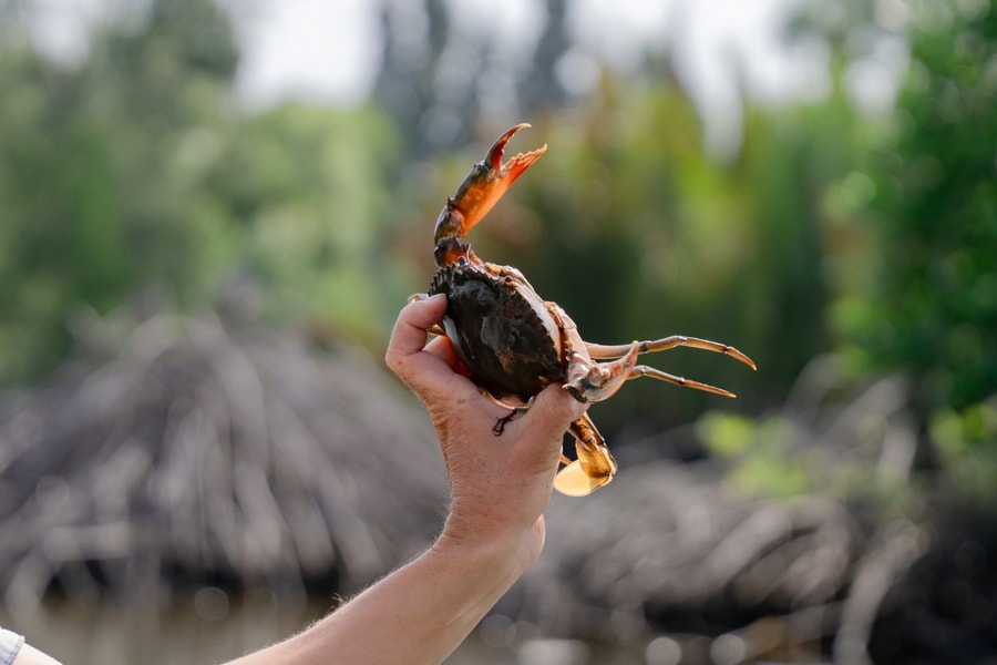 Thích ứng biến đổi khí hậu và hướng đi bảo vệ sinh kế bền vững cho cộng đồng ven biển