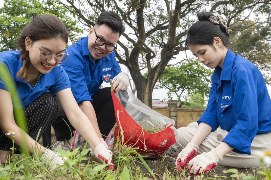 Hàng nghìn bạn trẻ nhập cuộc “Thử thách 21 ngày: Hành động Xanh - Chọn Tương lai Xanh”