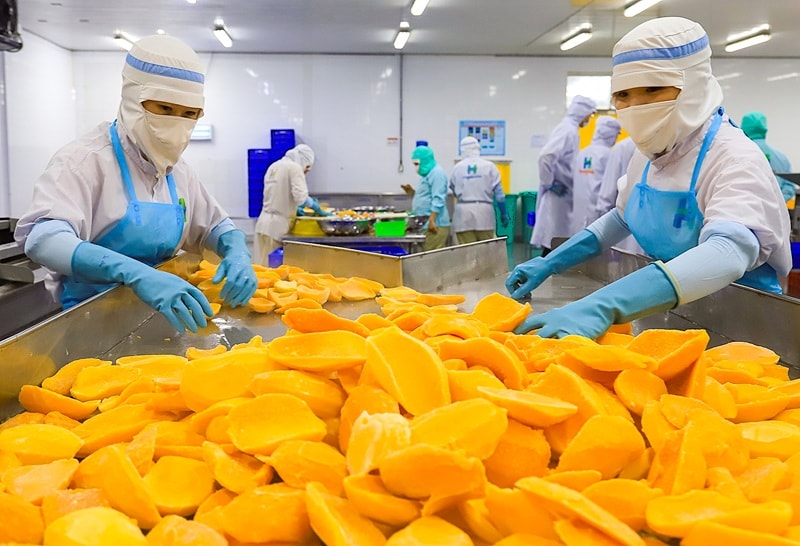 HungHau Foods đạt Top 500 doanh nghiệp tăng trưởng nhanh nhất Việt Nam