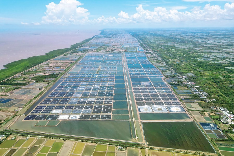 Lách qua cửa hẹp vào thị trường EU