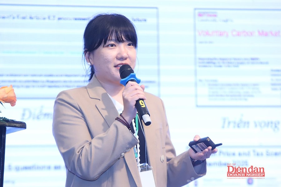 THỊ TRƯỜNG CÁC-BON: Cơ hội cho các dự án tại Việt Nam