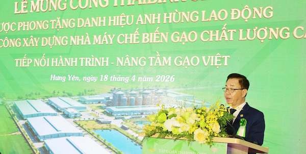 ThaiBinh Seed: "Cú hích" 1.000 tỷ đồng và khát vọng định vị lại bản đồ lúa gạo Việt Nam