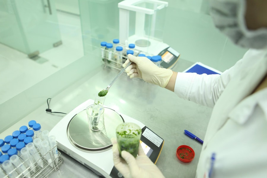 Quản trị an toàn thực phẩm: Từ kiểm tra mẫu đến văn hóa tự giác