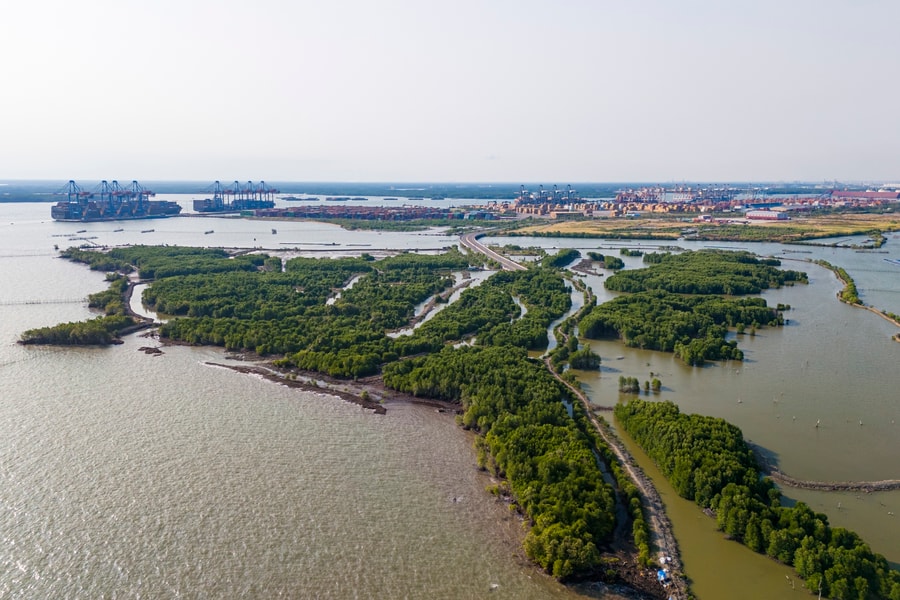 Vị trí liên danh Geleximco sắp xây siêu cảng Cái Mép Hạ gần 2 tỷ USD