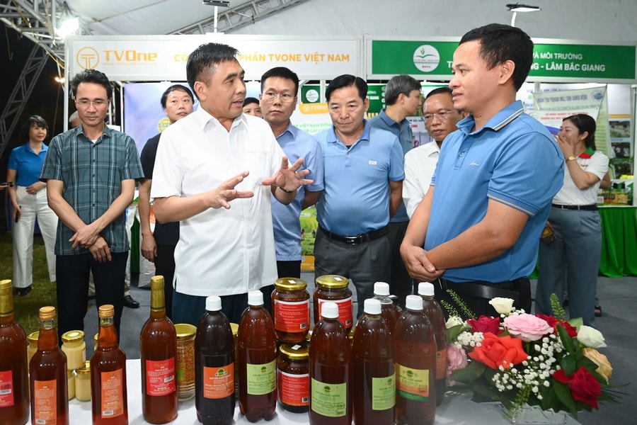 Lai Châu: Thu hút đầu tư phát triển nông nghiệp hàng hóa, dược liệu xanh