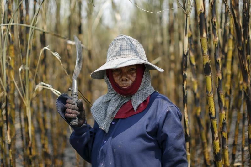 Châu Á ra sao trước đợt El Nino 'mạnh nhất'?