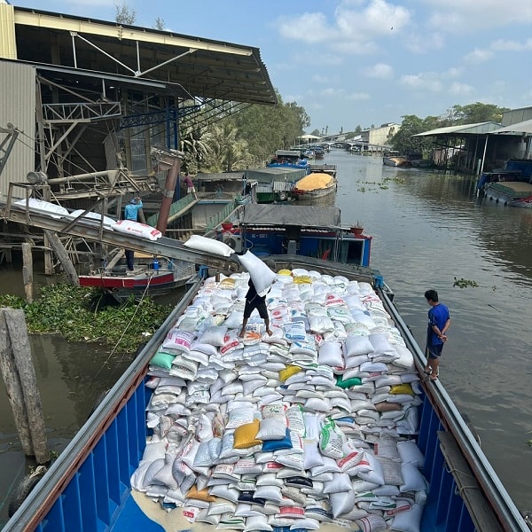 Giá lúa gạo trầm lắng
