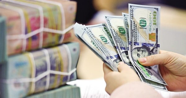 Fintech Việt kiều tìm cơ hội từ hàng chục tỷ đô
