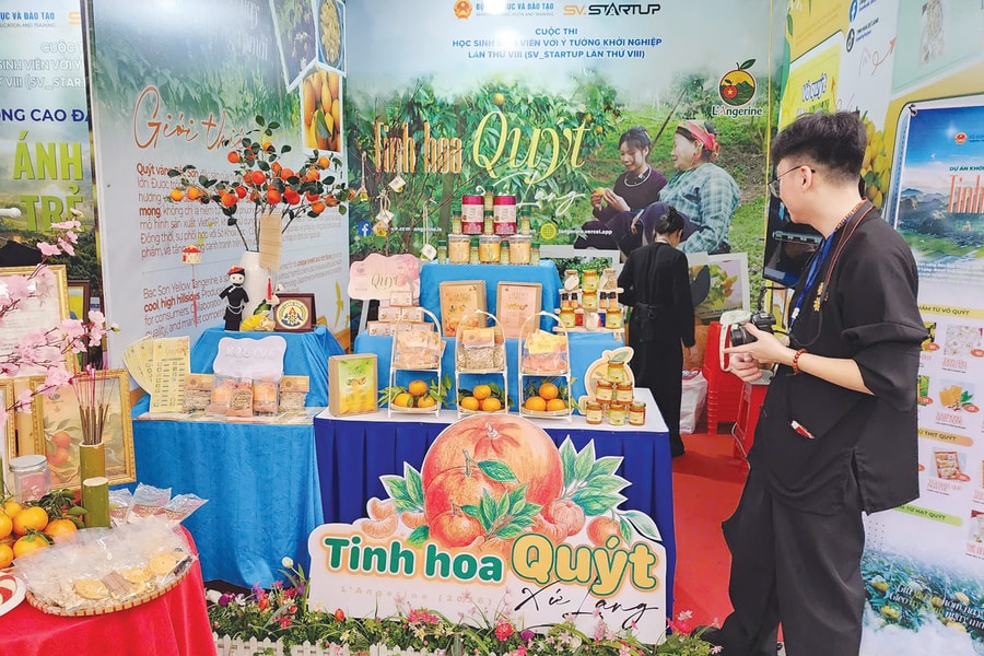 Nhận diện tổ chức trung gian TTO